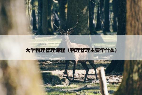 大学物理管理课程（物理管理主要学什么）