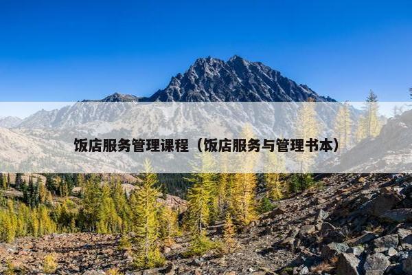 饭店服务管理课程（饭店服务与管理书本）