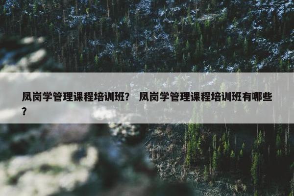 凤岗学管理课程培训班？ 凤岗学管理课程培训班有哪些？