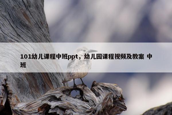 101幼儿课程中班ppt，幼儿园课程视频及教案 中班
