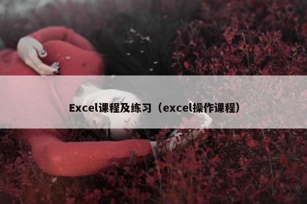 Excel课程及练习（excel操作课程）
