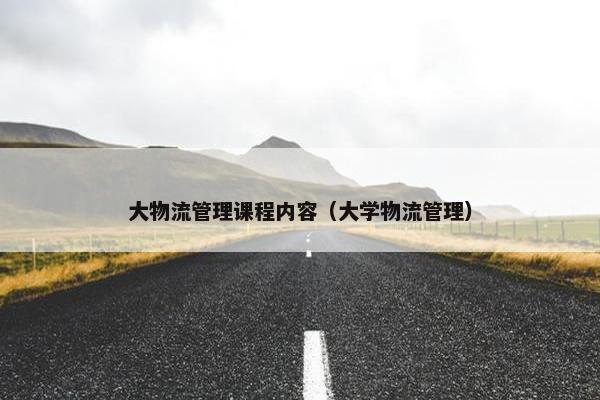 大物流管理课程内容（大学物流管理）
