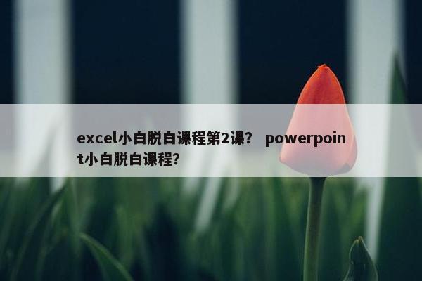 excel小白脱白课程第2课？ powerpoint小白脱白课程？