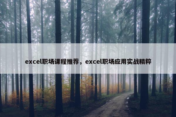 excel职场课程推荐，excel职场应用实战精粹