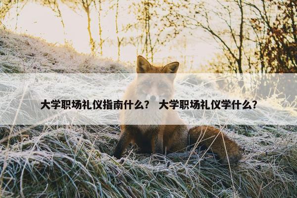 大学职场礼仪指南什么？ 大学职场礼仪学什么？