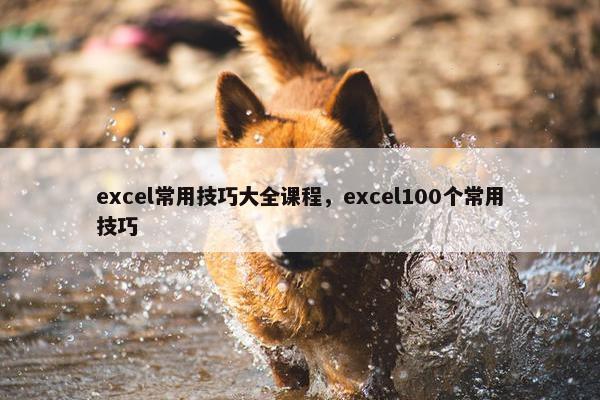 excel常用技巧大全课程，excel100个常用技巧