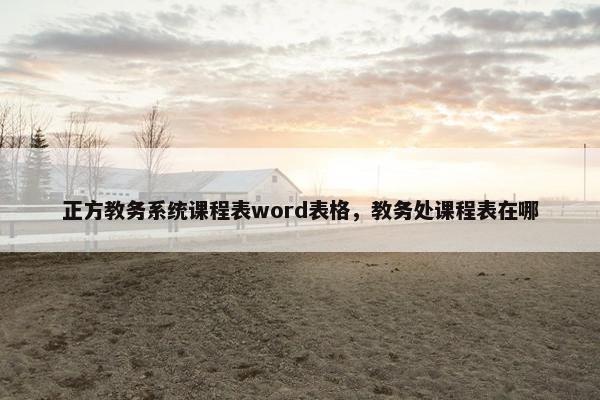 正方教务系统课程表word表格，教务处课程表在哪