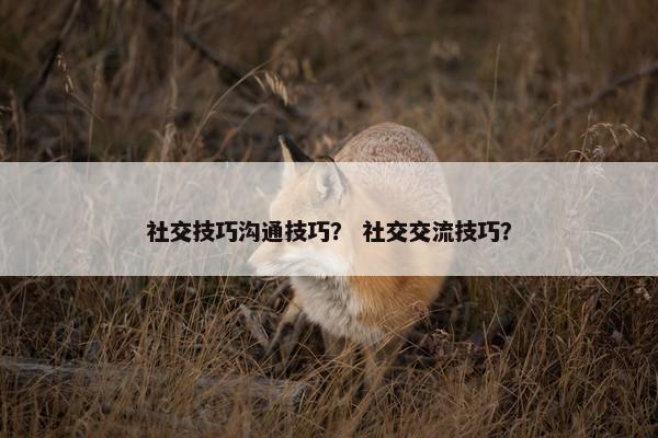社交技巧沟通技巧？ 社交交流技巧？
