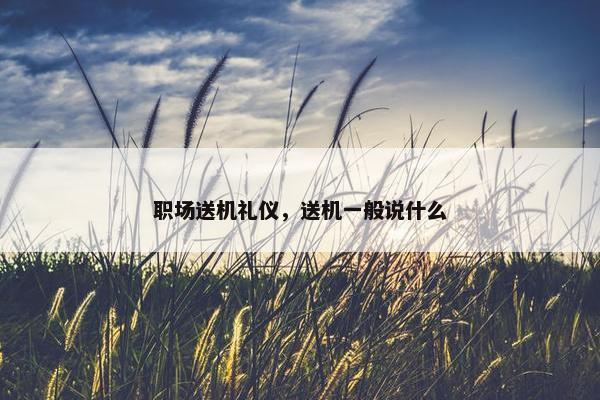 职场送机礼仪，送机一般说什么