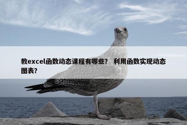 教excel函数动态课程有哪些？ 利用函数实现动态图表？