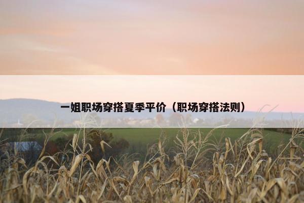 一姐职场穿搭夏季平价（职场穿搭法则）