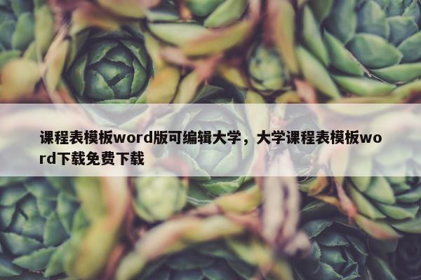 课程表模板word版可编辑大学，大学课程表模板word下载免费下载