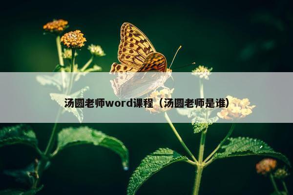 汤圆老师word课程（汤圆老师是谁）