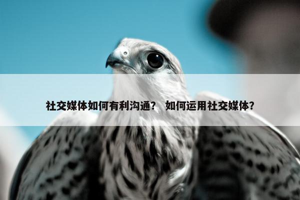 社交媒体如何有利沟通？ 如何运用社交媒体？