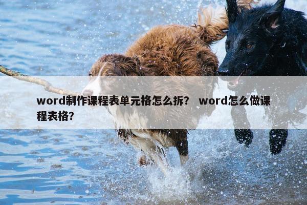 word制作课程表单元格怎么拆？ word怎么做课程表格？