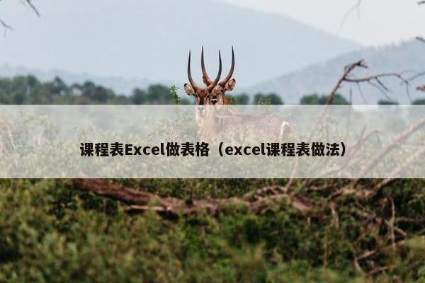 课程表Excel做表格（excel课程表做法）