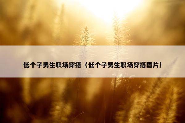 低个子男生职场穿搭（低个子男生职场穿搭图片）