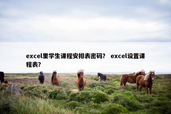 excel里学生课程安排表密码？ excel设置课程表？