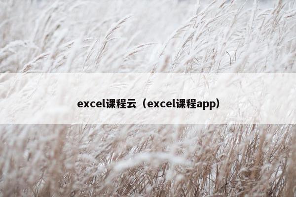 excel课程云（excel课程app）