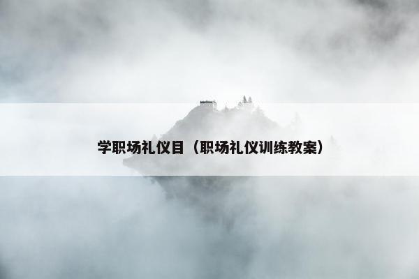 学职场礼仪目（职场礼仪训练教案）