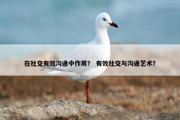 在社交有效沟通中作用？ 有效社交与沟通艺术？