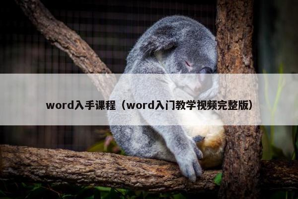 word入手课程（word入门教学视频完整版）