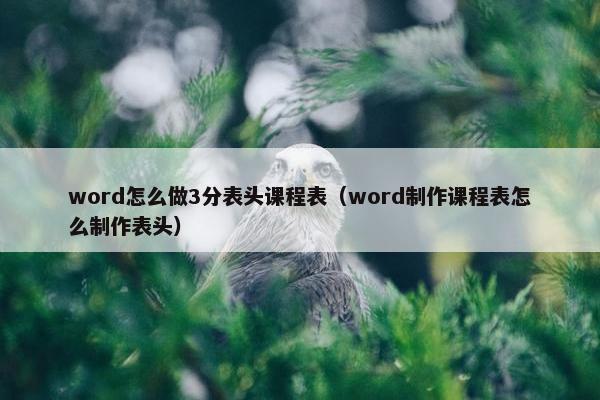 word怎么做3分表头课程表（word制作课程表怎么制作表头）