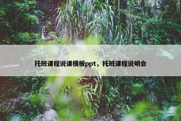 托班课程说课模板ppt，托班课程说明会