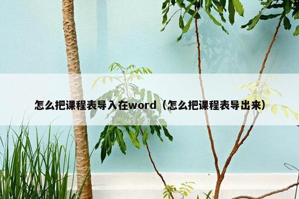 怎么把课程表导入在word（怎么把课程表导出来）
