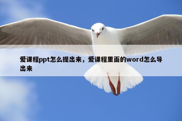 爱课程ppt怎么提出来，爱课程里面的word怎么导出来