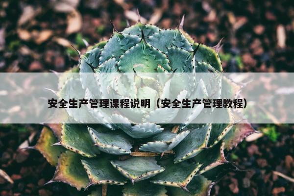 安全生产管理课程说明（安全生产管理教程）