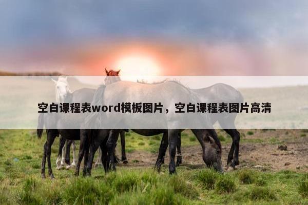 空白课程表word模板图片，空白课程表图片高清