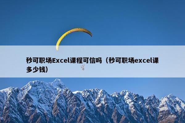 秒可职场Excel课程可信吗（秒可职场excel课多少钱）