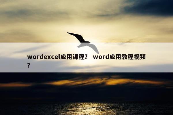 wordexcel应用课程？ word应用教程视频？
