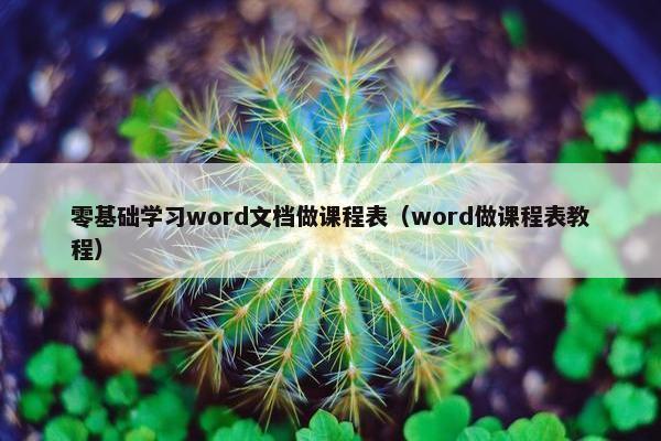 零基础学习word文档做课程表（word做课程表教程）