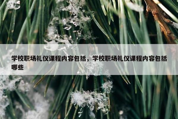 学校职场礼仪课程内容包括，学校职场礼仪课程内容包括哪些