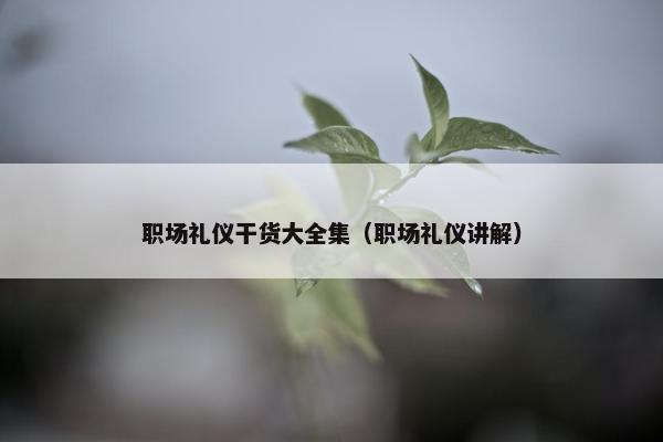职场礼仪干货大全集（职场礼仪讲解）