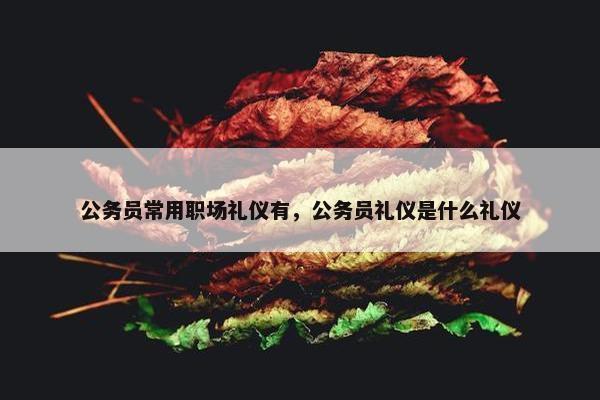 公务员常用职场礼仪有，公务员礼仪是什么礼仪