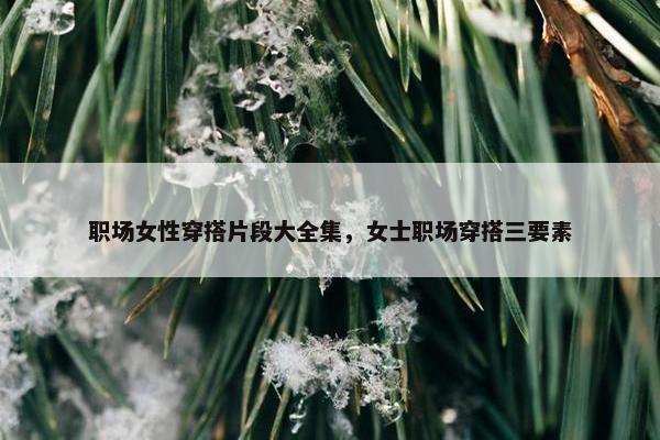 职场女性穿搭片段大全集，女士职场穿搭三要素