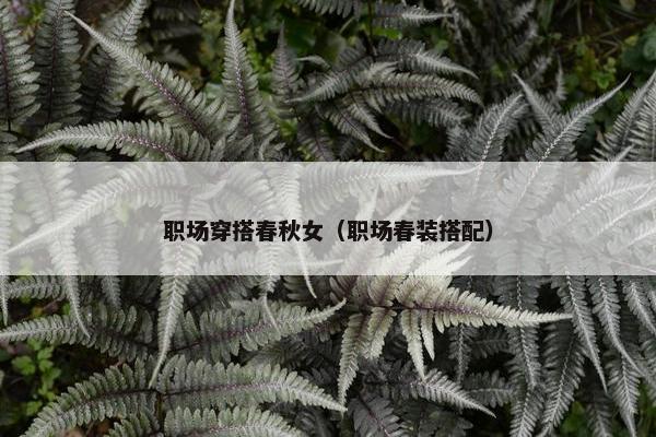 职场穿搭春秋女（职场春装搭配）