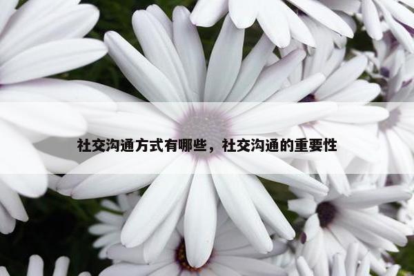 社交沟通方式有哪些，社交沟通的重要性