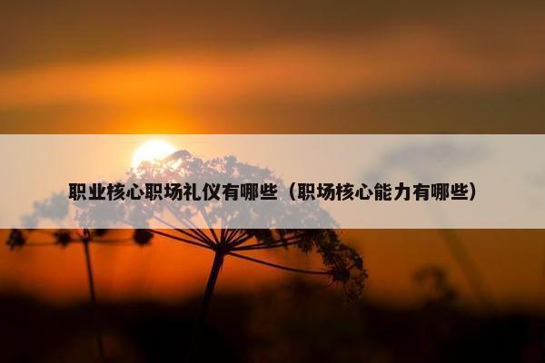 职业核心职场礼仪有哪些（职场核心能力有哪些）