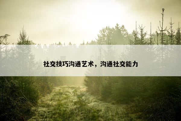 社交技巧沟通艺术，沟通社交能力
