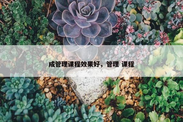成管理课程效果好，管理 课程