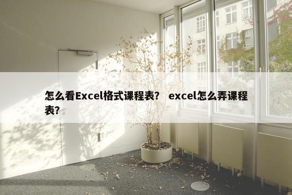 怎么看Excel格式课程表？ excel怎么弄课程表？