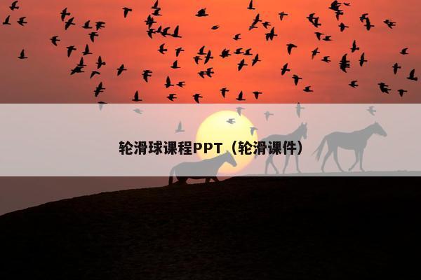 轮滑球课程PPT（轮滑课件）
