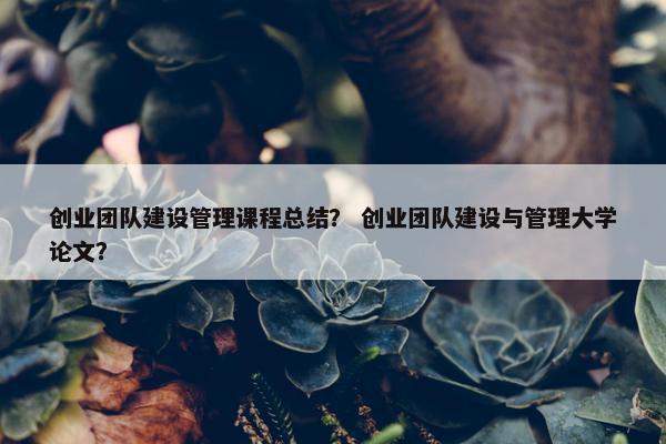 创业团队建设管理课程总结？ 创业团队建设与管理大学论文？