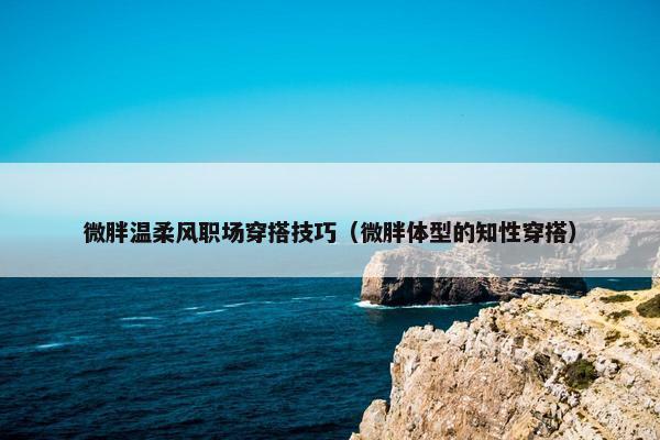 微胖温柔风职场穿搭技巧（微胖体型的知性穿搭）