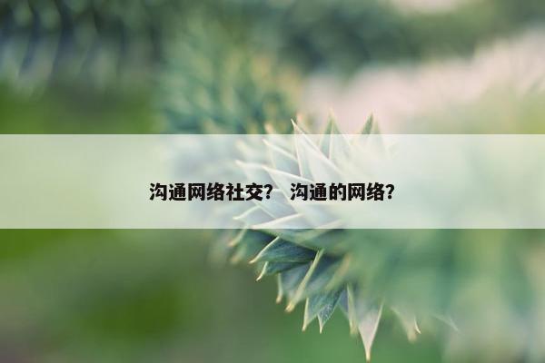 沟通网络社交？ 沟通的网络？