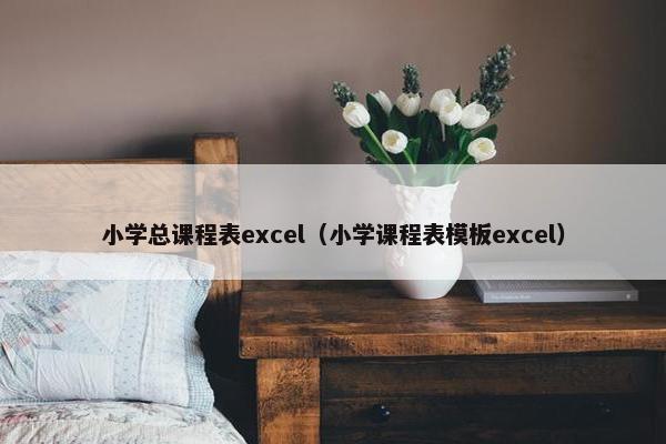 小学总课程表excel（小学课程表模板excel）